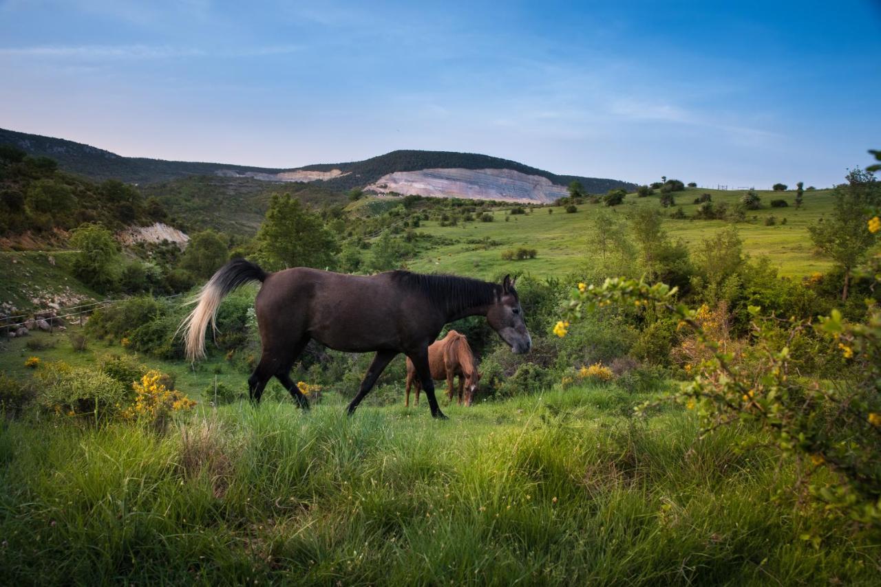 Hospedaje Rural Casa Parri Поведа-де-ла-Сьерра Экстерьер фото